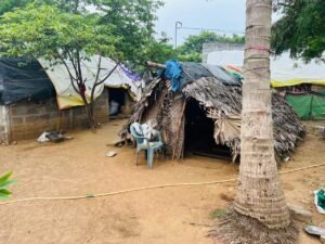 irullar tribes homes